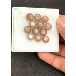 High Quality Natural Chocolate Moonstone Smooth Round Shape Cabochon For Jewelry