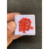 Beautiful High Quality Natural Red Coral Smooth Round Shape Cabochons Gemstone For Jewelry