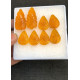 High Quality Beautiful Amber Hand Craved Pair Leaf Shape Cabochons Gemstone For Jewelry