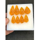 High Quality Beautiful Amber Hand Craved Pair Leaf Shape Cabochons Gemstone For Jewelry