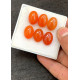 High Quality Natural Carnelian Smooth Oval Shape Cabochons Gemstone For Jewelry