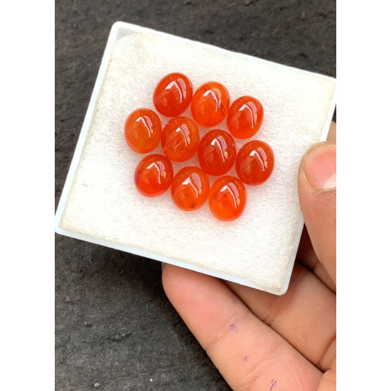 High Quality Natural Carnelian Smooth Oval Shape Cabochons Gemstone For Jewelry