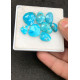 High Quality Natural American Turquoise Rose Cut Fancy Shape Cabochons Gemstone For Jewelry