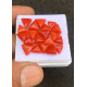 Beautiful High Quality Natural Red Coral Smooth Trillion Shape Cabochons Gemstone For Jewelry