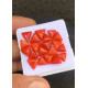 Beautiful High Quality Natural Red Coral Smooth Trillion Shape Cabochons Gemstone For Jewelry