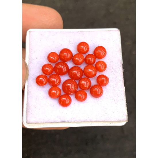 Beautiful High Quality Natural Red Coral Smooth Round Shape Cabochons Gemstone For Jewelry