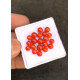 Beautiful High Quality Natural Red Coral Smooth Round Shape Cabochons Gemstone For Jewelry