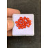 Beautiful High Quality Natural Red Coral Smooth Round Shape Cabochons Gemstone For Jewelry