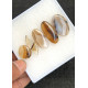 High Quality Natural Montana Agate Smooth Fancy Shape Cabochons Gemstone For Jewelry