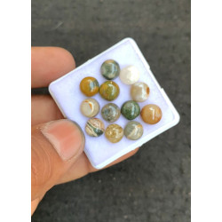 High Quality Natural Ocean Jasper Smooth Round Shape Cabochons Gemstone For Jewelry