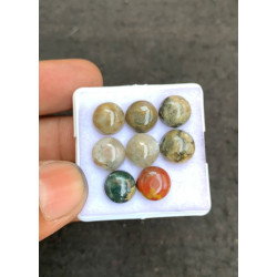 High Quality Natural Ocean Jasper Smooth Round Shape Cabochons Gemstone For Jewelry