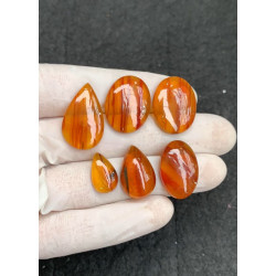 High Quality Natural Amber Smooth Mix Shape Cabochons Gemstone For Jewelry