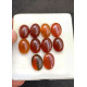 High Quality Natural Amber Smooth Oval Shape Cabochons Gemstone For Jewelry