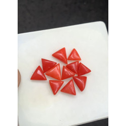 Beautiful High Quality Natural Red Coral Smooth Trillion Shape Cabochons Gemstone For Jewelry